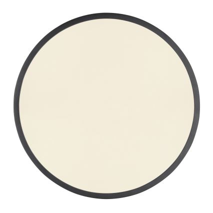 Globo - Ρυθμιζόμενο LED οροφής φωτιστικό LED/28W/230V