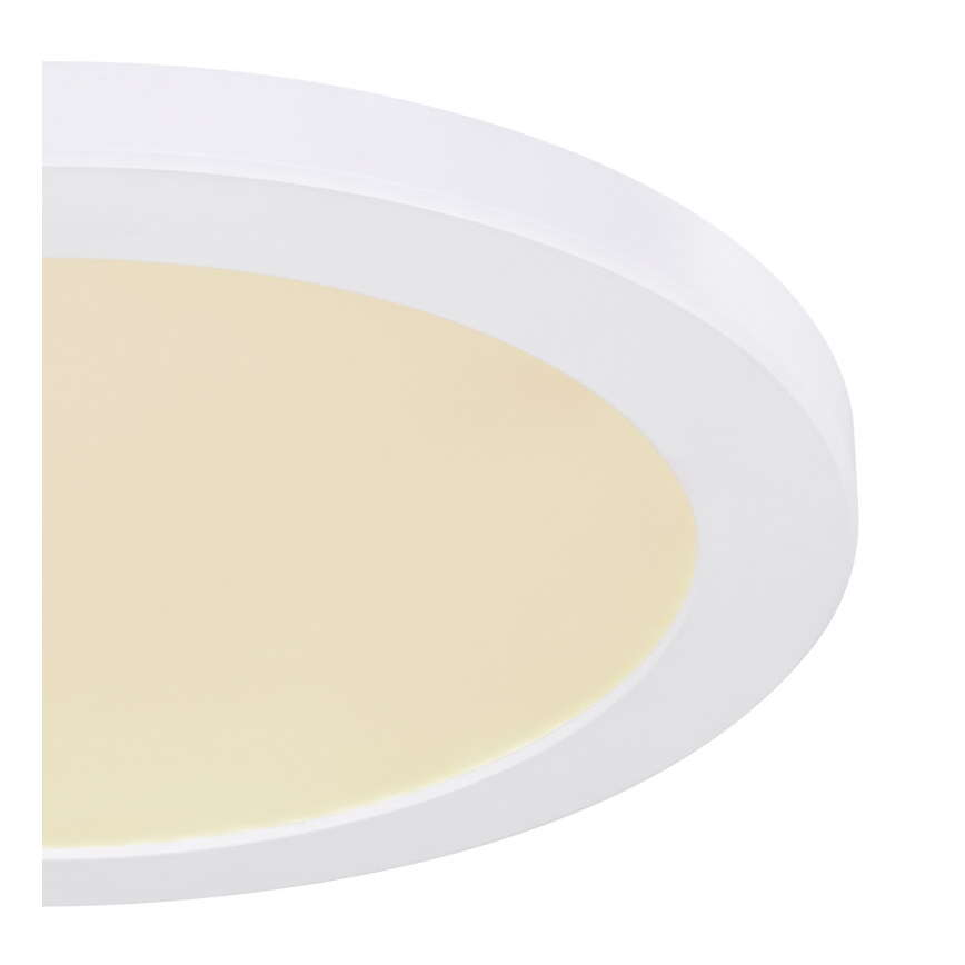 Globo - Φωτιστικό οροφής LED LED/24W/230V 3000/4000/6500K λευκό