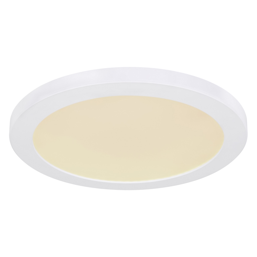 Globo - Φωτιστικό οροφής LED LED/24W/230V 3000/4000/6500K λευκό