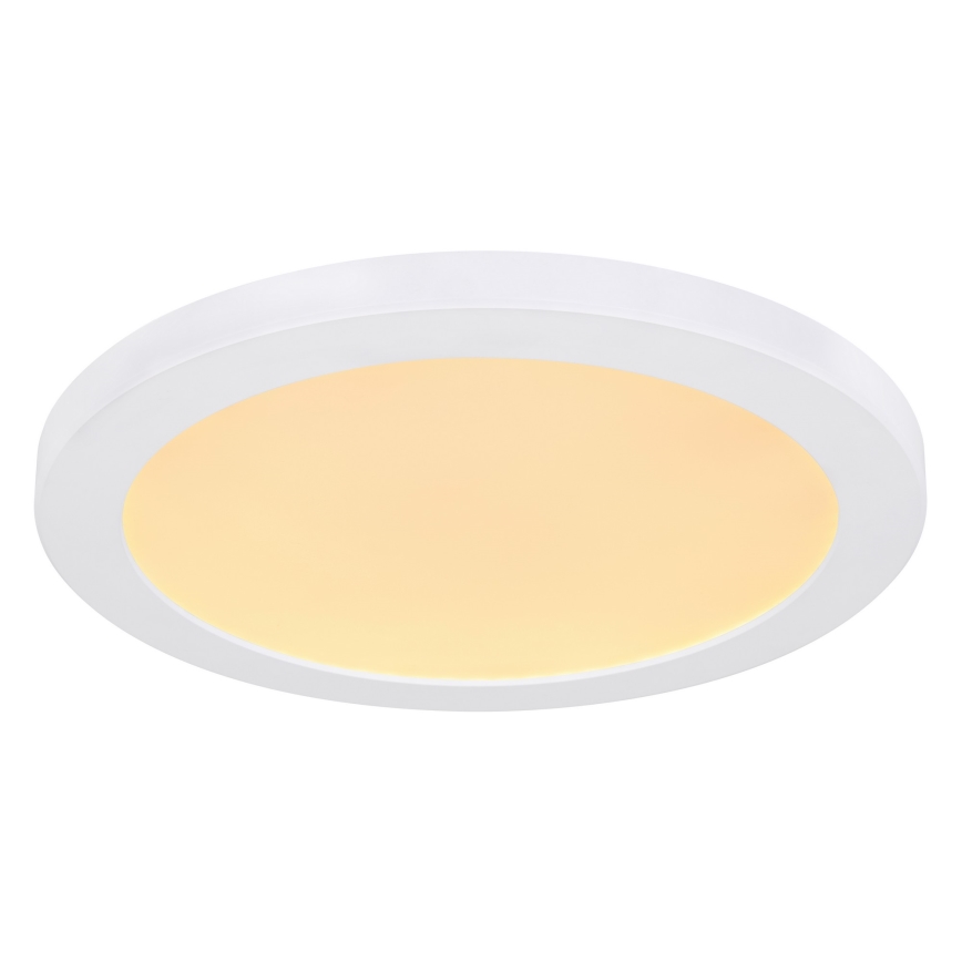Globo - Φωτιστικό οροφής LED LED/24W/230V 3000/4000/6500K λευκό