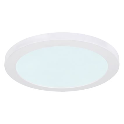 Globo - Φωτιστικό οροφής LED LED/24W/230V 3000/4000/6500K λευκό