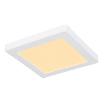 Globo - Φωτιστικό οροφής LED LED/12W/230V 3000/4000/6500K λευκό