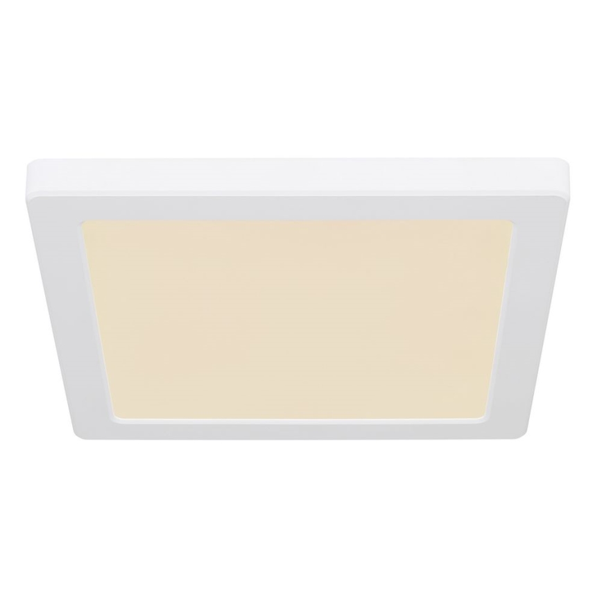 Globo - LED Οροφιαίο φωτιστικό LED/18W/230V 3000/4000/6500K λευκό