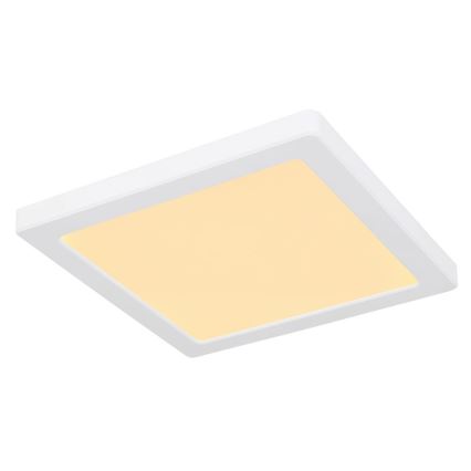 Globo - LED Οροφιαίο φωτιστικό LED/18W/230V 3000/4000/6500K λευκό