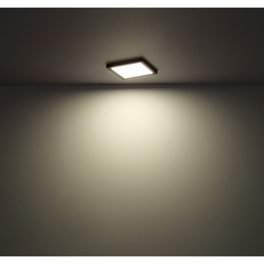 Globo - LED Οροφωτιστικό LED/24W/230V 3000/4000/6500K μαύρο