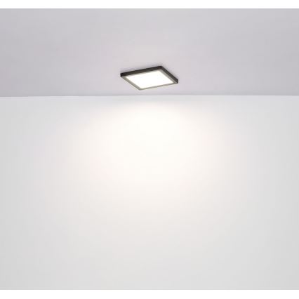 Globo - Φωτιστικό οροφής LED LED/24W/230V 3000/4000/6500K μαύρο