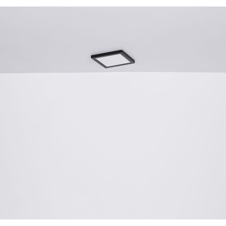 Globo - Φωτιστικό οροφής LED LED/24W/230V 3000/4000/6500K μαύρο