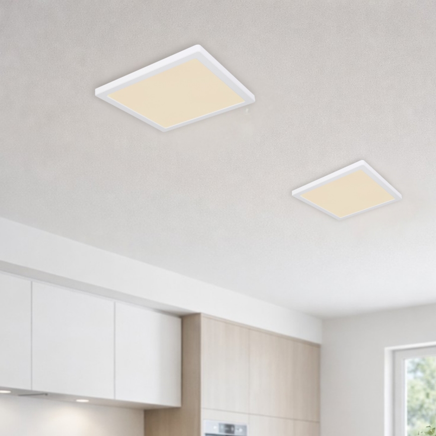 Globo - LED Φωτιστικό οροφής LED/24W/230V 3000/4000/6500K λευκό