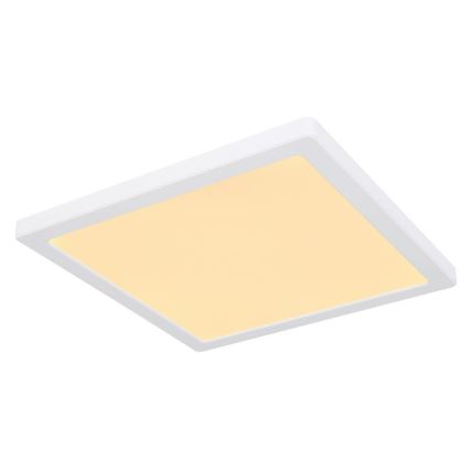 Globo - LED Φωτιστικό οροφής LED/24W/230V 3000/4000/6500K λευκό