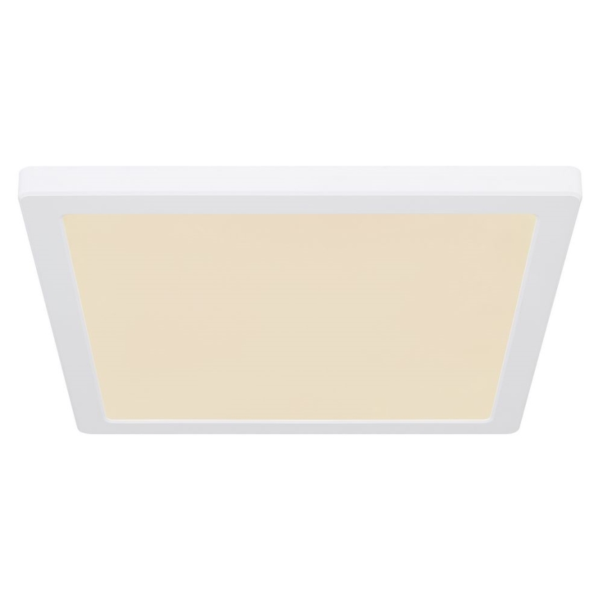 Globo - LED Φωτιστικό οροφής LED/24W/230V 3000/4000/6500K λευκό