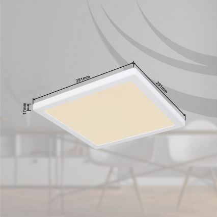 Globo - LED Φωτιστικό οροφής LED/24W/230V 3000/4000/6500K λευκό