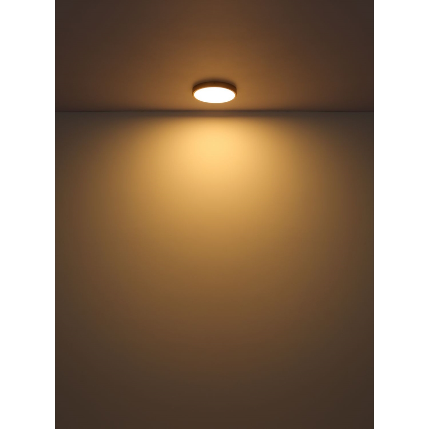 Globo - Φωτιστικό οροφής LED LED/22W/230V διάμετρος 35 cm