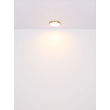 Globo - Φωτιστικό οροφής LED LED/22W/230V διάμετρος 35 cm