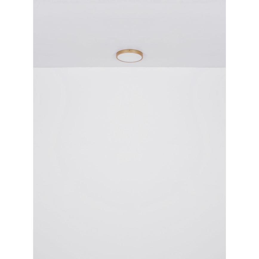 Globo - Φωτιστικό οροφής LED LED/30W/230V διάμετρος 45 cm