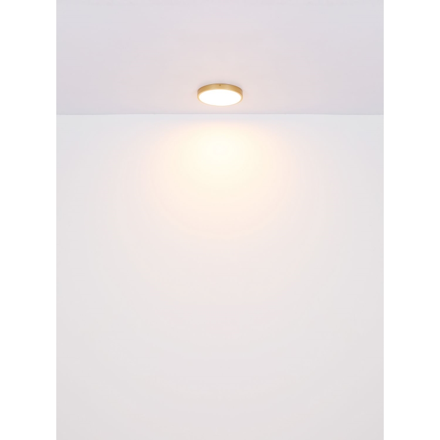 Globo - Φωτιστικό οροφής LED LED/30W/230V διάμετρος 45 cm