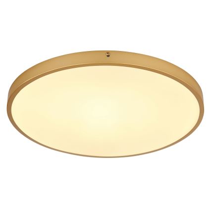 Globo - Φωτιστικό οροφής LED LED/30W/230V διάμετρος 45 cm
