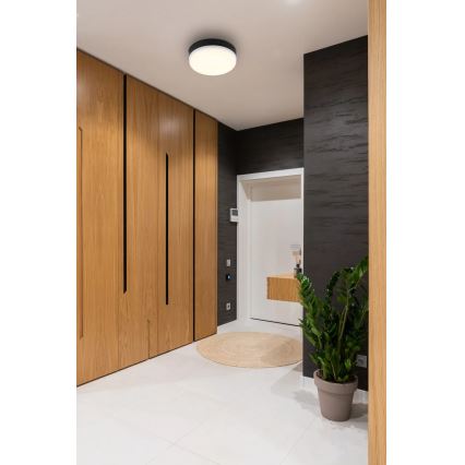 Globo - Φωτιστικό οροφής LED LED/8W/230V 4000K διάμετρος 12 cm μαύρο