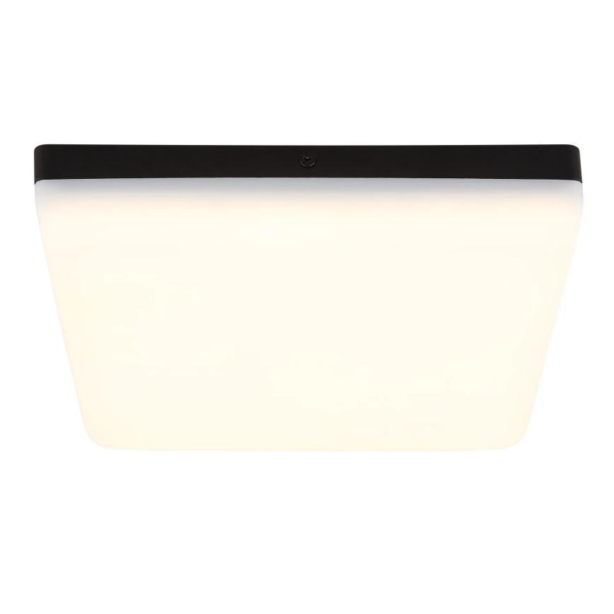 Globo - Φωτιστικό οροφής LED LED/12W/230V 4000K 22x22 cm μαύρο