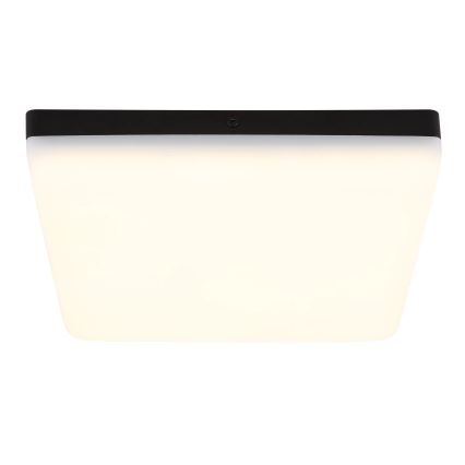 Globo - Φωτιστικό οροφής LED LED/12W/230V 4000K 22x22 cm μαύρο
