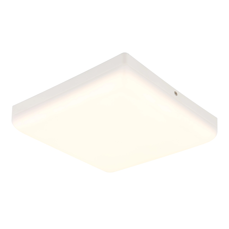 Globo - Φωτιστικό οροφής LED LED/12W/230V 4000K 22x22 cm λευκό