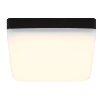 Globo - Φωτιστικό οροφής LED LED/8W/230V 4000K 12x12 cm μαύρο