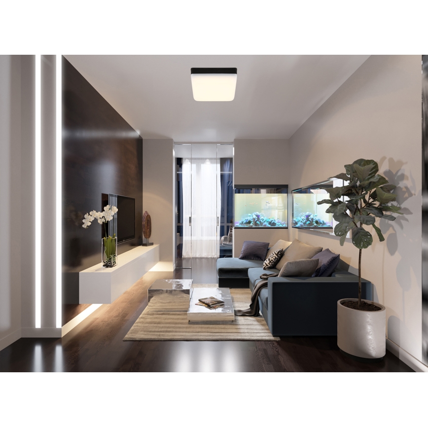 Globo - Φωτιστικό οροφής LED LED/8W/230V 4000K 12x12 cm μαύρο