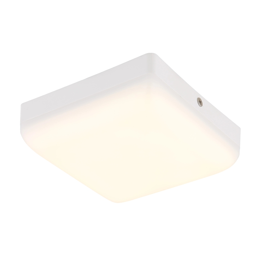 Globo - Φωτιστικό οροφής LED LED/8W/230V 4000K 12x12 cm λευκό
