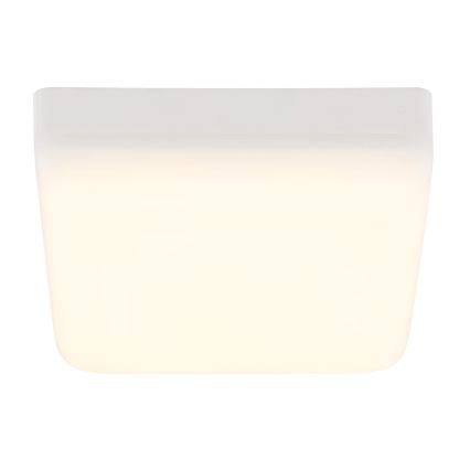 Globo - Φωτιστικό οροφής LED LED/8W/230V 4000K 12x12 cm λευκό