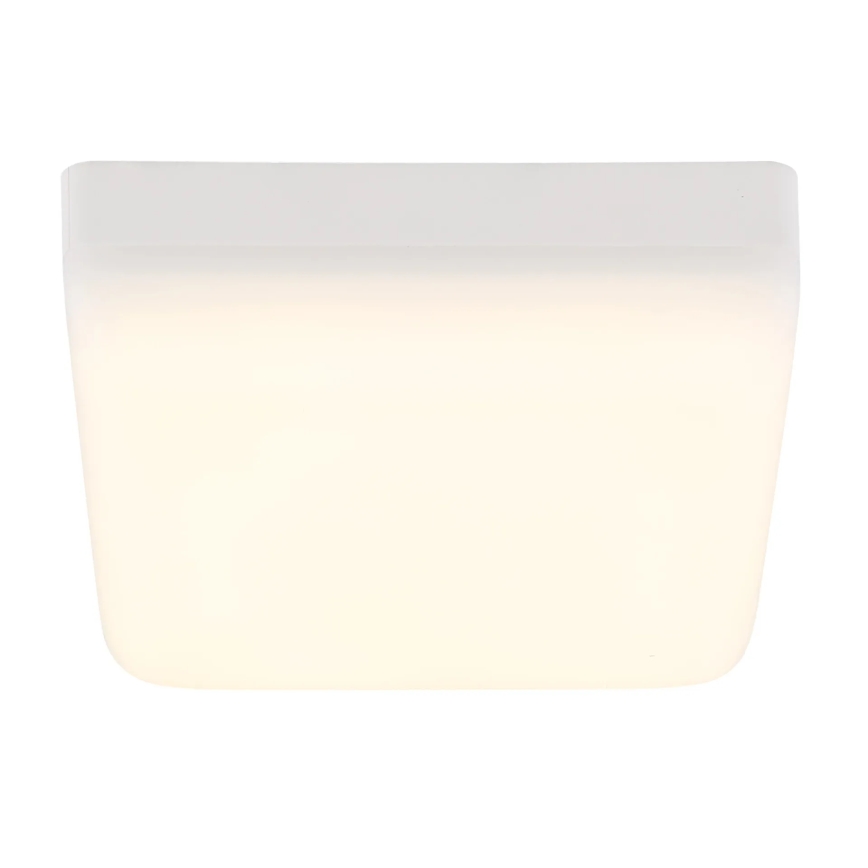 Globo - Φωτιστικό οροφής LED LED/8W/230V 4000K 12x12 cm λευκό