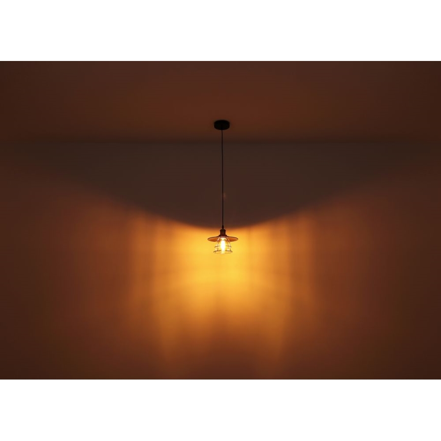 Globo - Κρεμαστό φωτιστικό οροφής μονόφωτο 1xE27/60W/230V