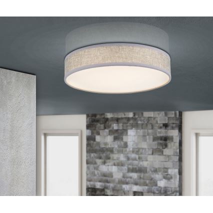 Globo - Φωτιστικό οροφής LED LED/24W/230V