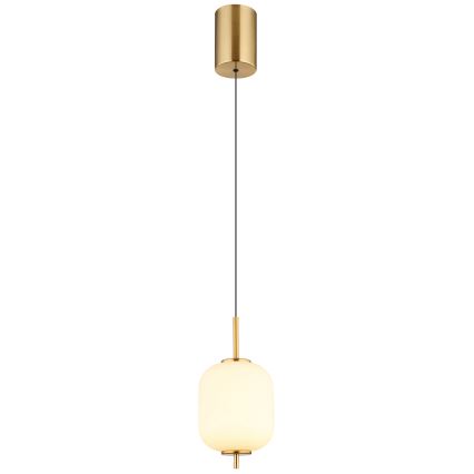 Globo -  Κρεμαστό φωτιστικό οροφής LED LED/7W/230V