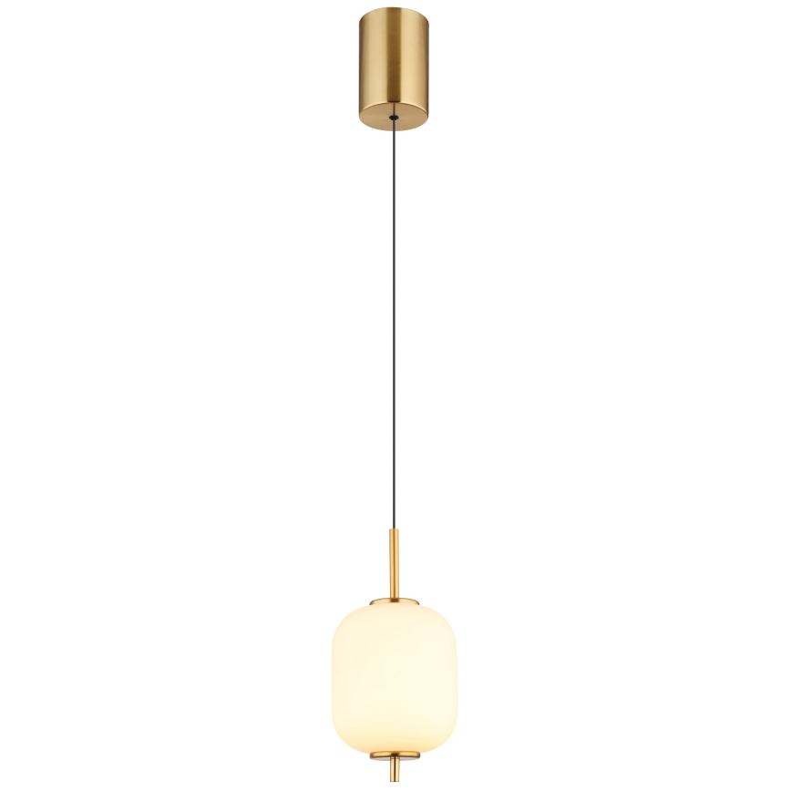 Globo -  Κρεμαστό φωτιστικό οροφής LED LED/7W/230V