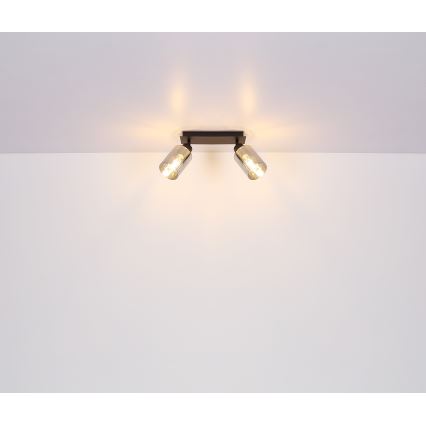 Globo - Φωτιστικό σποτ 2xE27/15W/230V μαύρο