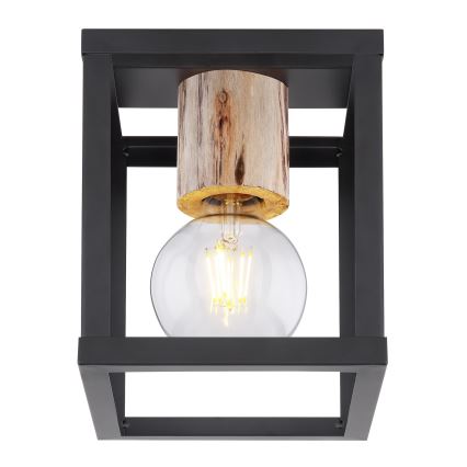 Globo - Φωτιστικό οροφής 1xE27/60W/230V