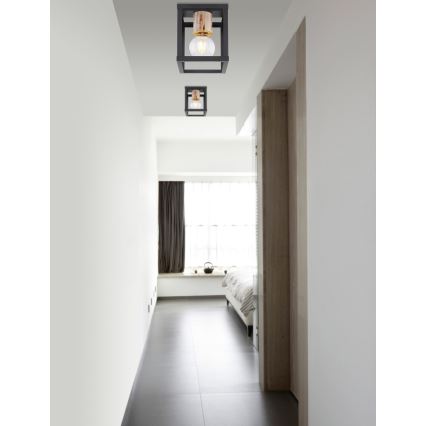 Globo - Φωτιστικό οροφής 1xE27/60W/230V