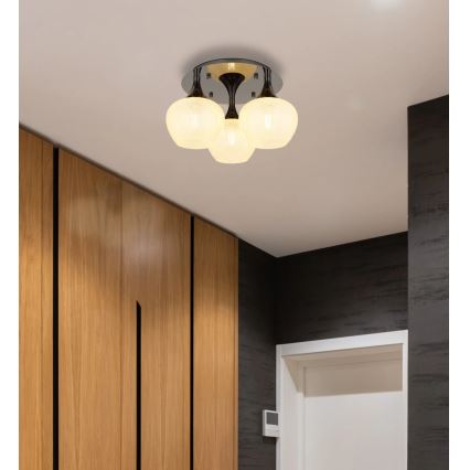 Globo - Πλαφονιέρα οροφής 3xE27/40W/230V ανθρακί