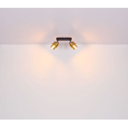 Globo - Φωτιστικό σποτ 2xE27/40W/230V μαύρο/ορείχαλκος