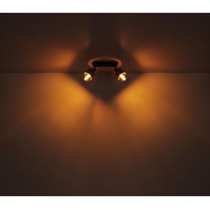 Globo - Φωτιστικό σποτ 2xE27/40W/230V μαύρο/ορείχαλκος