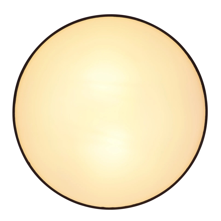 Globo 15582D - Φωτιστικό οροφής INGEBORG 2xE27/15W/230V