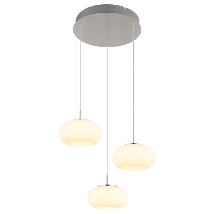 Globo -  Κρεμαστό φωτιστικό οροφής LED 3xLED/6W/230V