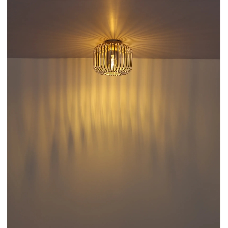 Globo - Φωτιστικό οροφής 1xE27/40W/230V, διάμ. 28 εκ.