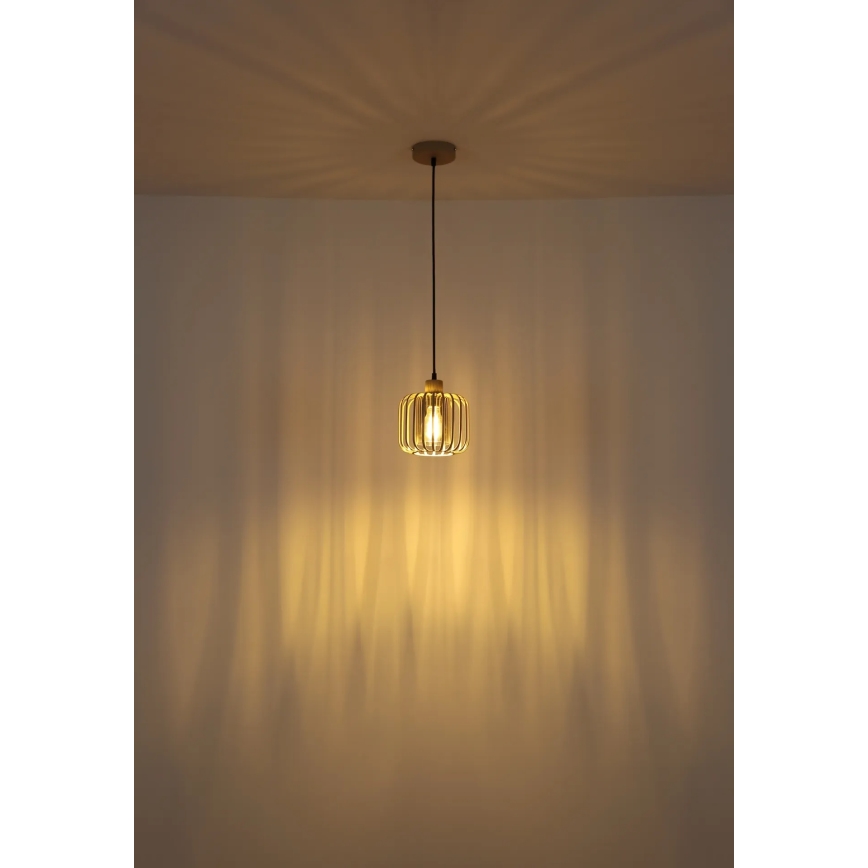 Globo - Κρεμαστό φωτιστικό με καλώδιο 1xE27/40W/230V Ø 18 cm