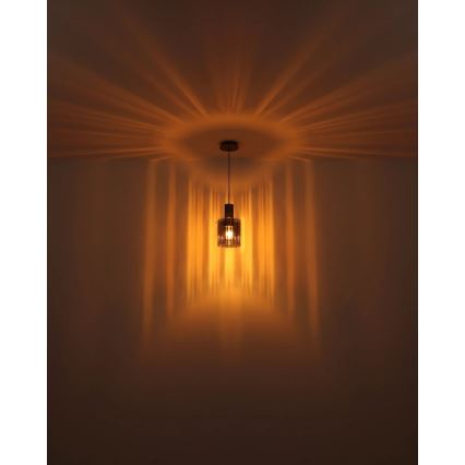 Globo - Κρεμαστό φωτιστικό οροφής 1xE27/40W/230V διάμετρος 18 cm καφέ