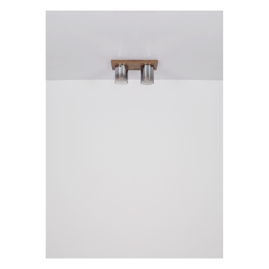 Globo - Φωτιστικό οροφής 2xE27/40W/230V 16x41 cm