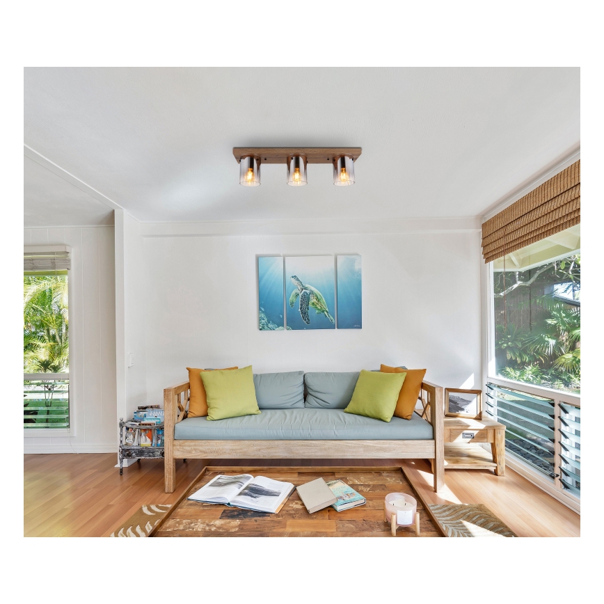 Globo - Φωτιστικό οροφής 3xE27/40W/230V