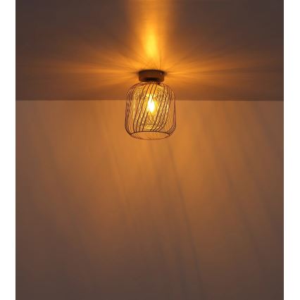 Globo - Φωτιστικό οροφής 1xE27/40W/230V διάμ. 18 εκ.