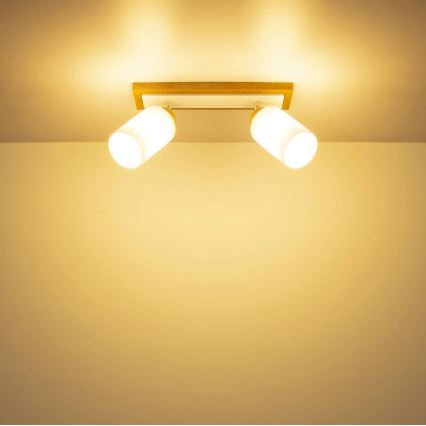 Globo - Φωτιστικό σποτ 2xE27/60W/230V δρυς/λευκό