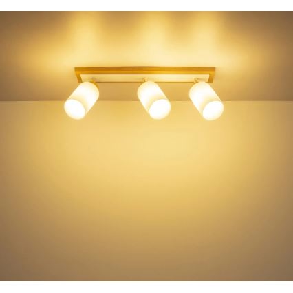 Globo - Σποτ φωτιστικό 3xE27/60W/230V δρυς/λευκό
