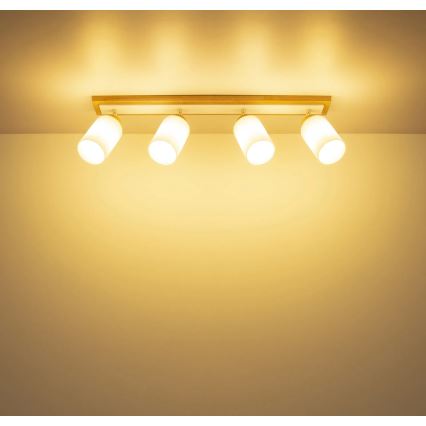 Globo - Σποτ φωτιστικό 4xE27/60W/230V δρυς/λευκό